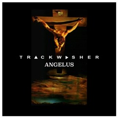 Trackwasher - Angélus