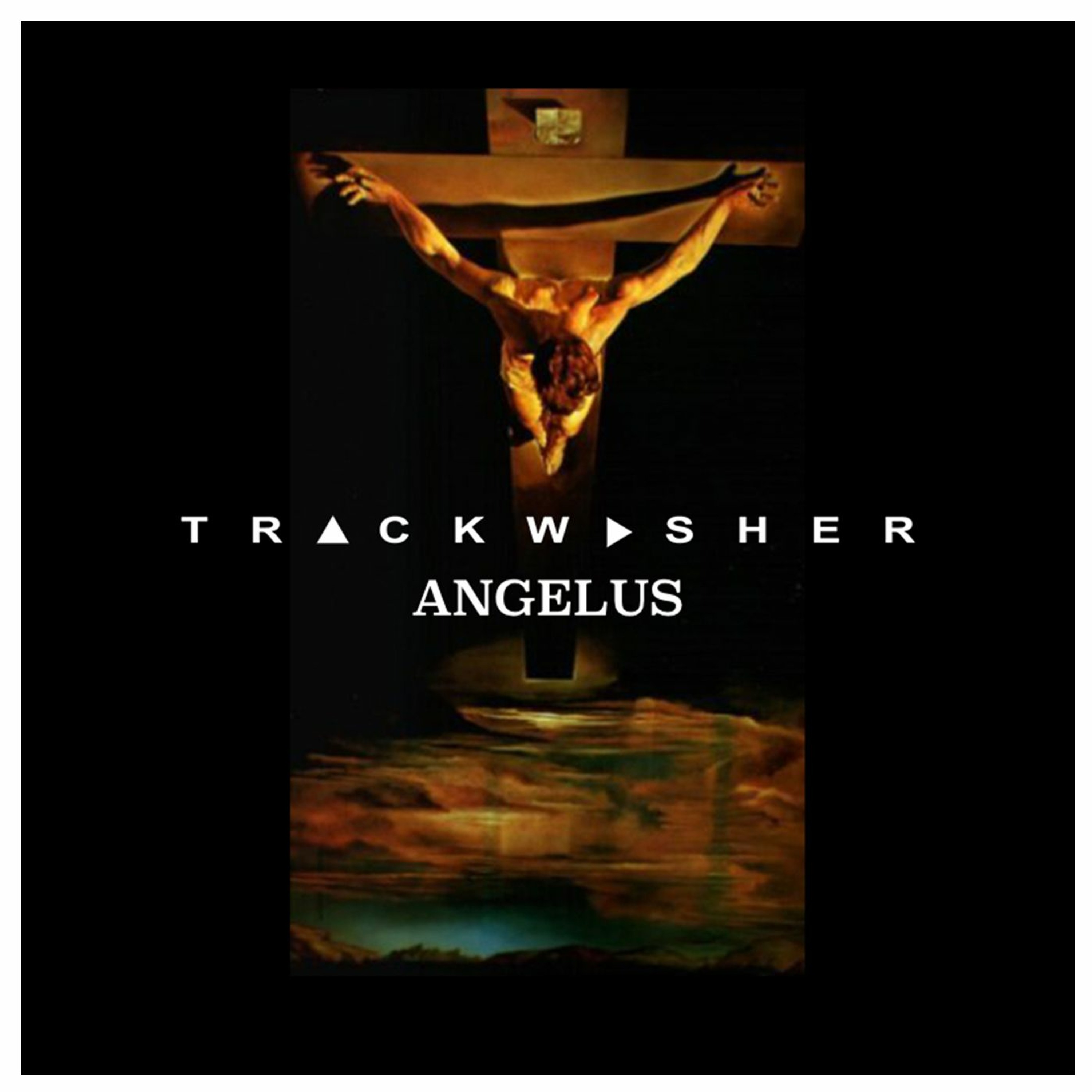 trackwasher