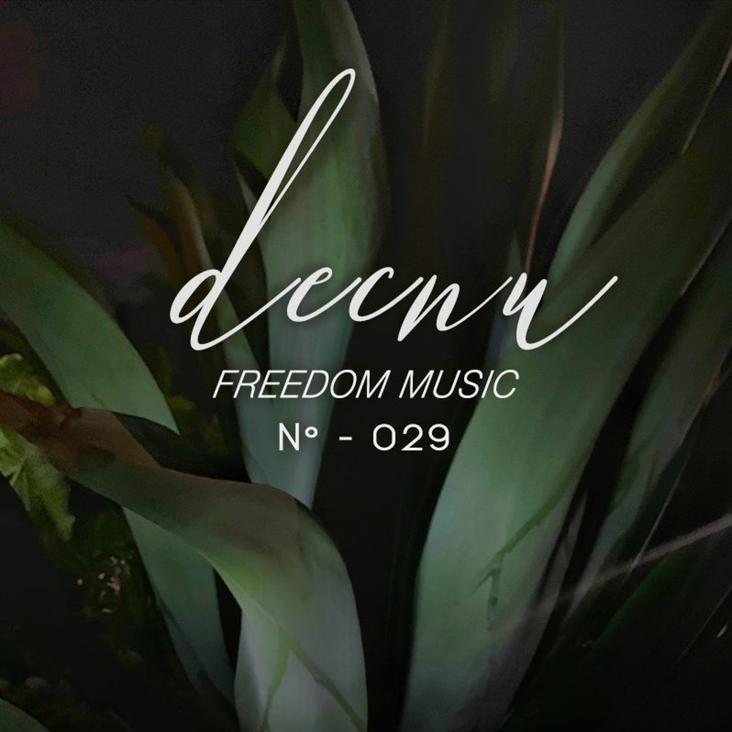 DECNU