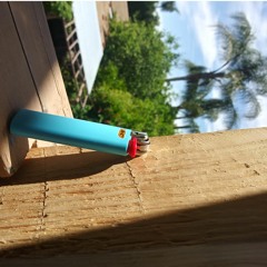 A Half Assed Apology