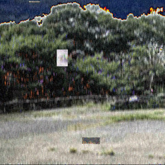 TREPLOPHONETY01 / ELECTRICFLUTE153