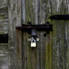 Porte 135