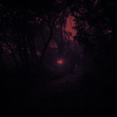 Woodland