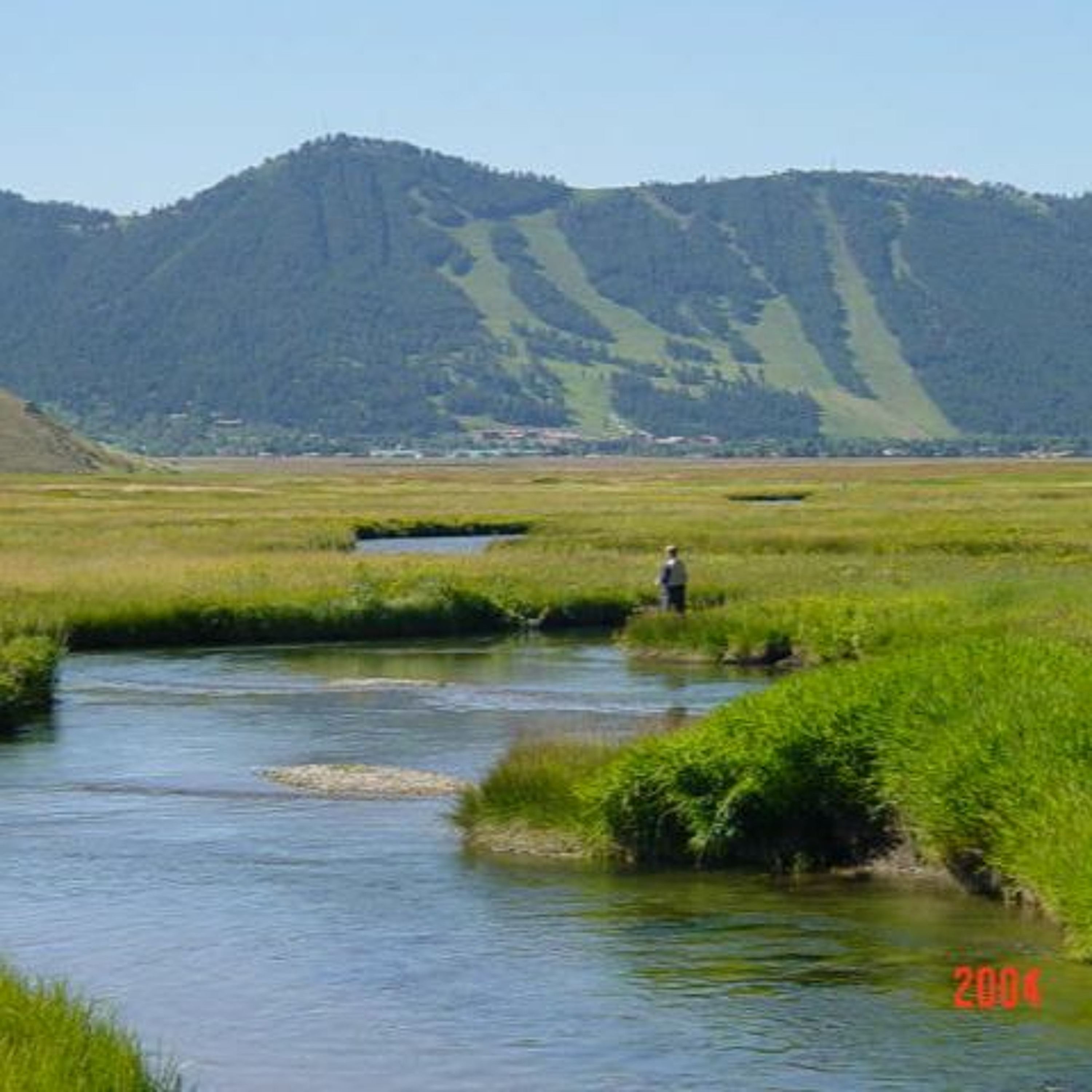 News Brief Oct. 21 | Habituated Grizzly Euthanized, Fishery Improvements Begin on Flat Creek episode artwork