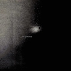 distorted diary w/ to4getasap