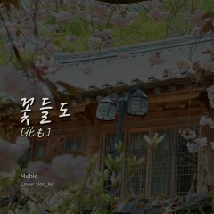 꽃들도 (花も) / Instrumental Worship / ccm / pray