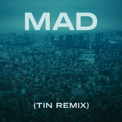 Martin Garrix & LAUV - Mad (Tin Remix)