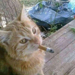 поеду, накурюсь!