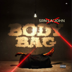 Babyfxce E BodyBag Remix