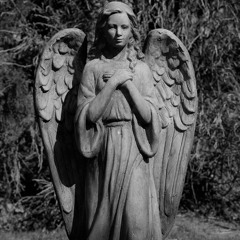 Whitney Houston is DEAD