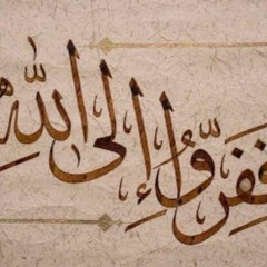 سورة الرعد -تجويد المنشاوي