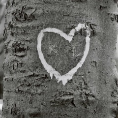 Si Je Suis Fou (2023) - Paroles  : Laurent F  -  Musique, chant, mixage : Xtof Guillaumot