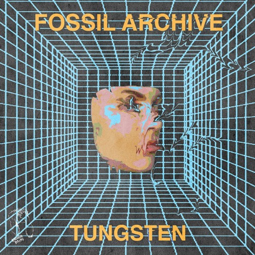 Fossil Archive - Clouds [clip]