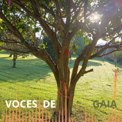 VOCES DE GAIA