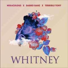 Whitney - Miraculous x Darko x Terrible Tony