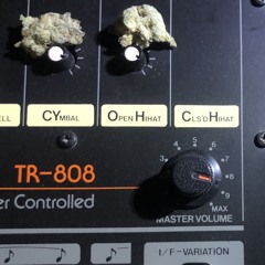 Alice Klar - KSB#1 Archie L2-225