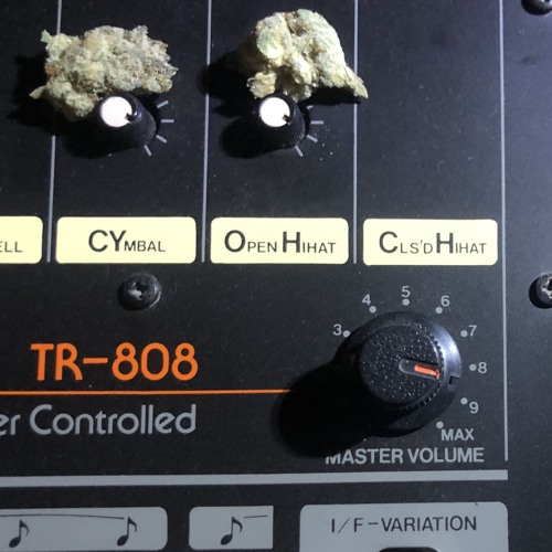 Alice Klar - KSB#1 Archie L2-225