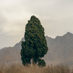 Improvisation | تیرماه ۰۴ - بداهه نوازی