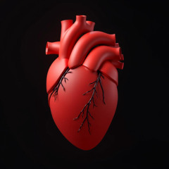 My Love 2