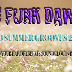 Mid Summer Grooves 2024