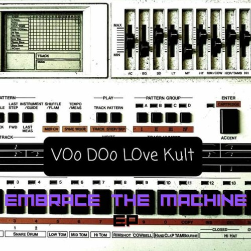VOo DOo LOve Kult - What Have I Done?