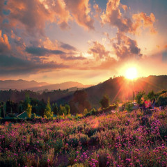 개화 (Blooming Star)