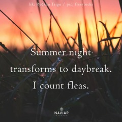 Summer Night Transforms(NaviarHaiku479)