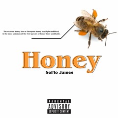 Bonnie & Clyde (Prod. By Snorkajte)