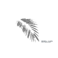 FULLTIME - SELVA | Afrobeats, Hip-hop, Amapiano, Edit | Studio Session 2025.07.15