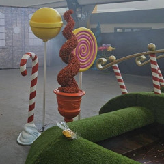 wonderland