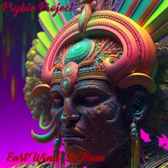 Psybie Project - East Wind So Ham