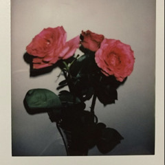 Rosen - Arne Qvick (Sped up)