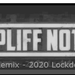 Spliff_Notes REMIX VIP