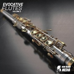 New Beard Media - Evocative Flutes Vol 2
