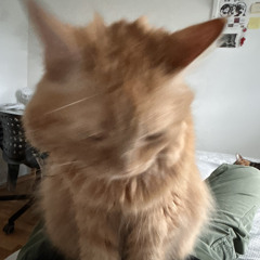 we had one bad day we'll have many more