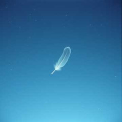 A Feather's Fall