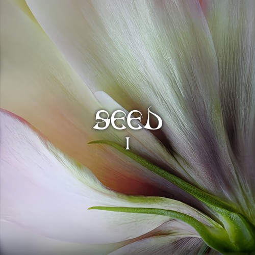EUBO - Detroit Playa [SEED01] (FREE DOWNLOAD)