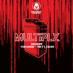 Multiply feat. Ed 209 - You Know (V.I.P Mix)
