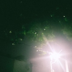 mơ