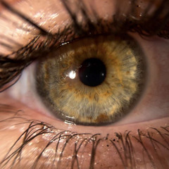 PLENTY OF TIME - BIRDTHROWER