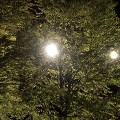 잠비노(Jambino) - 누워버릴까 (Prod. Rennis T)