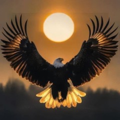 𝕻𝖆𝖙𝖍 𝕺𝖋 𝕰𝖝𝖈𝖎𝖙𝖊𝖒𝖊𝖓𝖙
