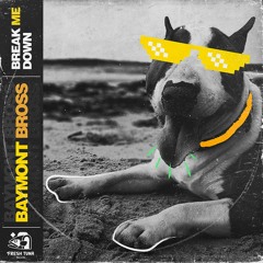 Baymont Bross - Break Me Down (Original Mix)