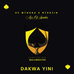 Dakwa Yini (feat. MalumNator)