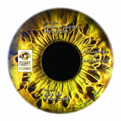 ZC019 - Acidupdub - Mars Jam - Yellow Eye EP - Zodiak Commune Records