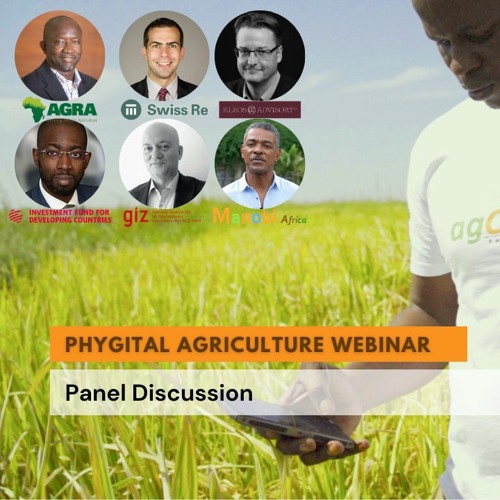 Opportunities for investing in Africa's agriculture sector