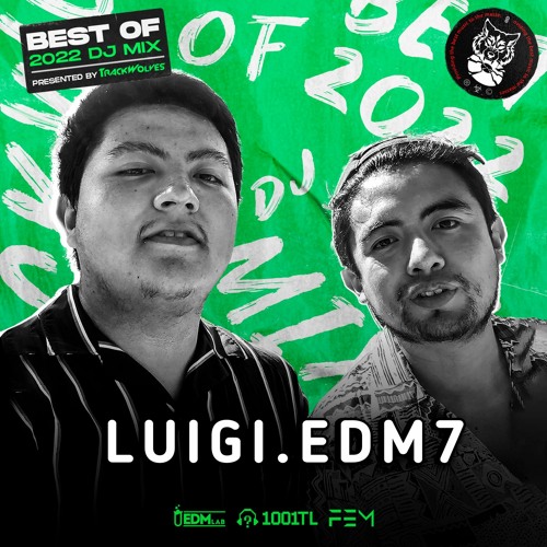 Stream LUIGI.EDM7 TrackWolves Best Of 2022 DJ Mix by LUIGIEDM7
