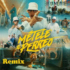 Metele Al Perreo (REMIX) , DJ WALLY