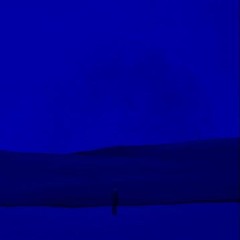 Fred Again... - Bleu (better With Time) (Audio Bloom Remix)
