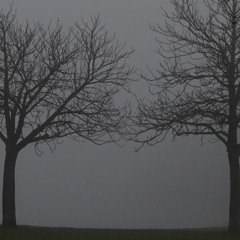 through the fog, dancing